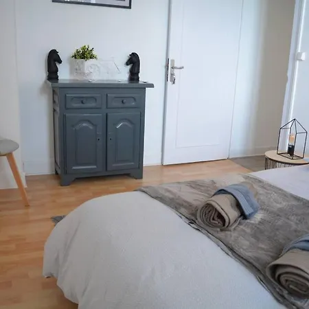 Cyclodeloire Vue Splendide Lejlighed Saumur